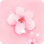 7m视频最新版app