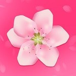 黄瓜视频app在线观看