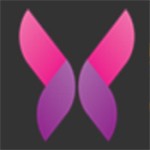 王者荣耀云缨篇冷狐版_logo