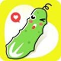 花季传媒APP每天免费3次观影ios版